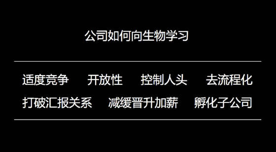 王小川談企業成長：從蝴蝶效應到六爻八卦